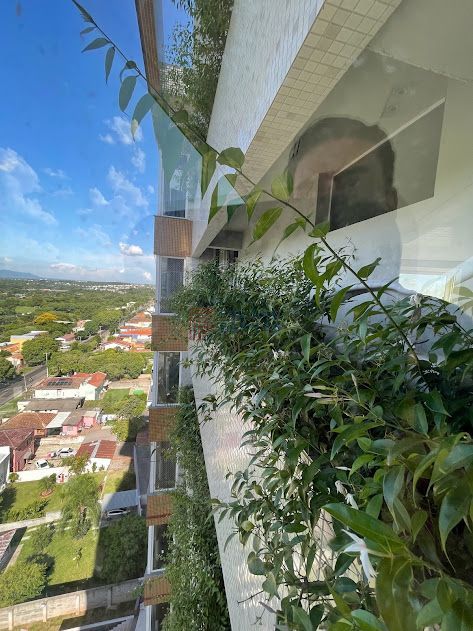 Apartamento, 3 quartos, 227 m² - Foto 18