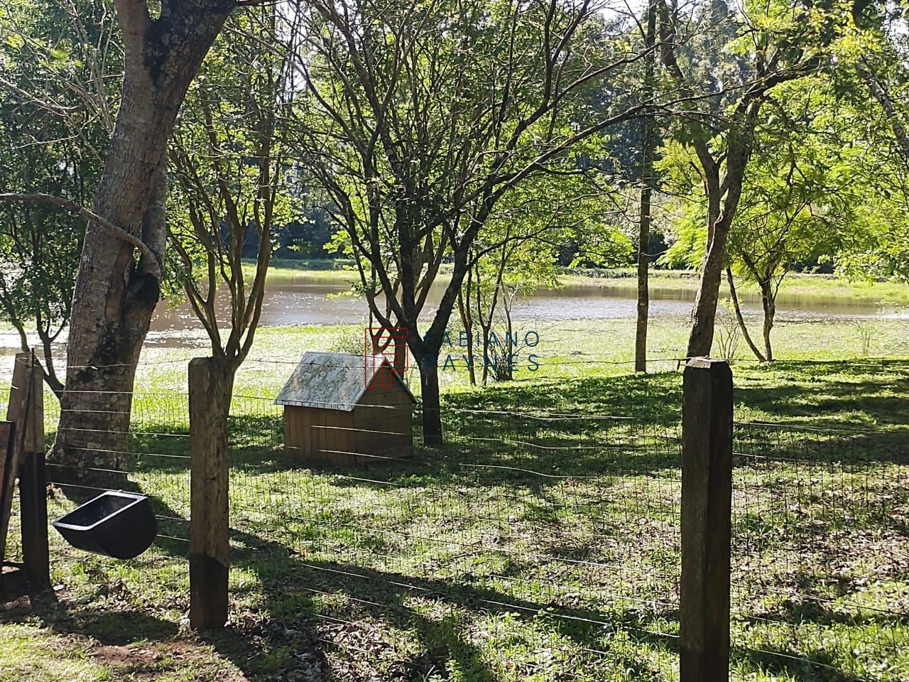 Chácara, 3 quartos, 4 hectares - Foto 23