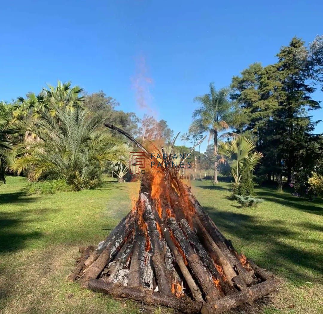 Chácara, 3 quartos, 4 hectares - Foto 11