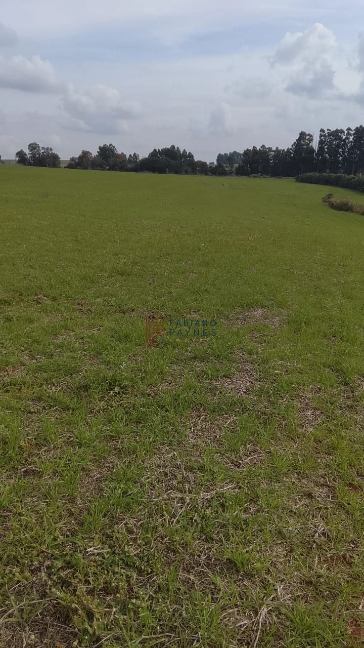 Fazenda, 20 hectares - Foto 11