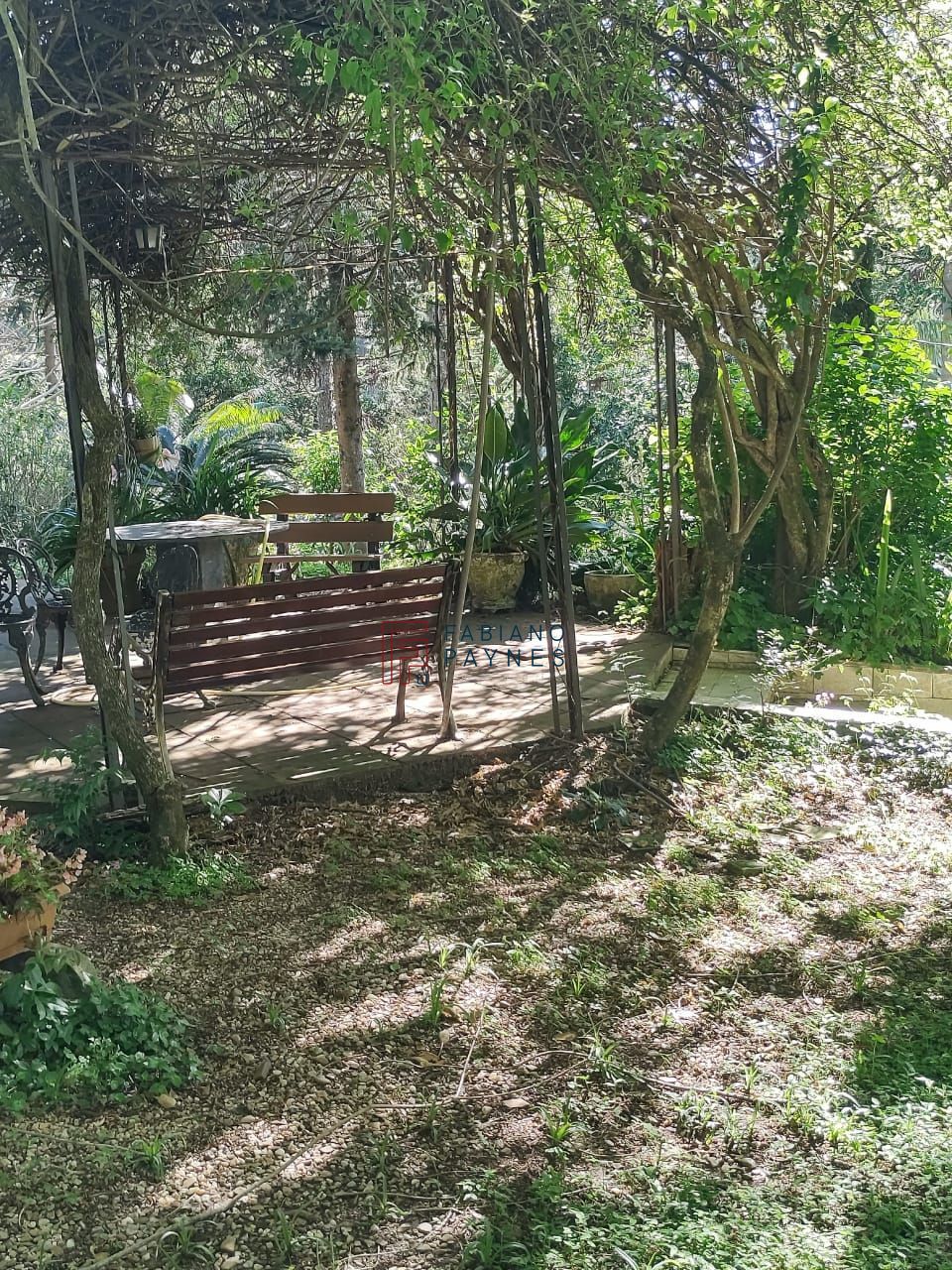 Chácara, 3 quartos, 4 hectares - Foto 31