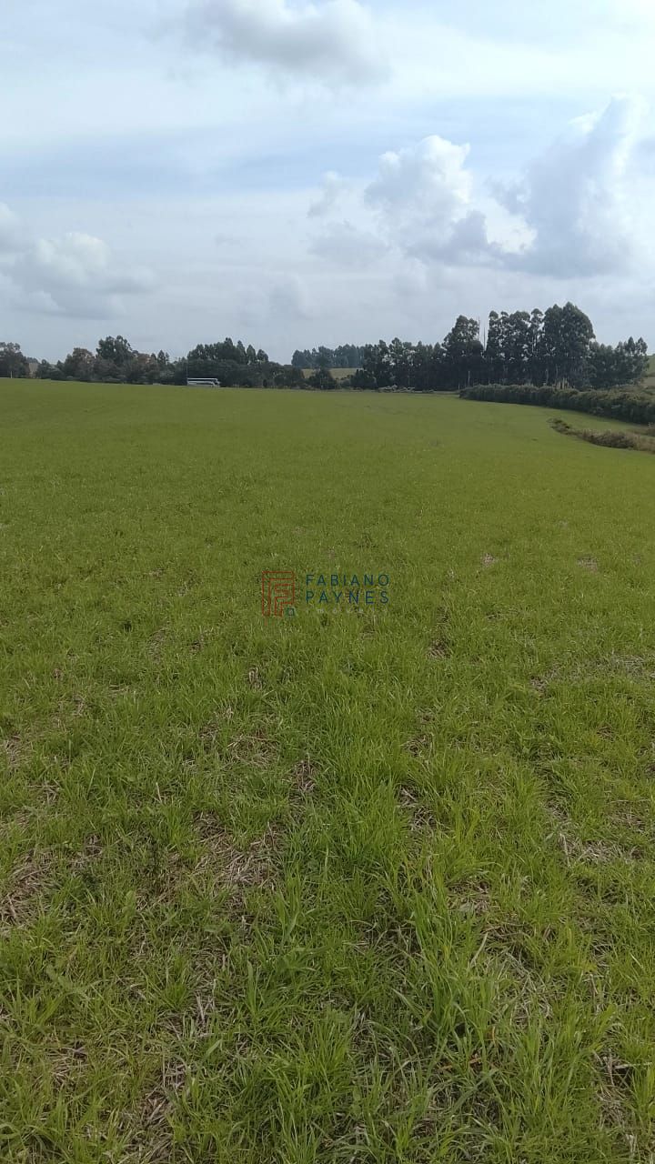 Fazenda, 20 hectares - Foto 8