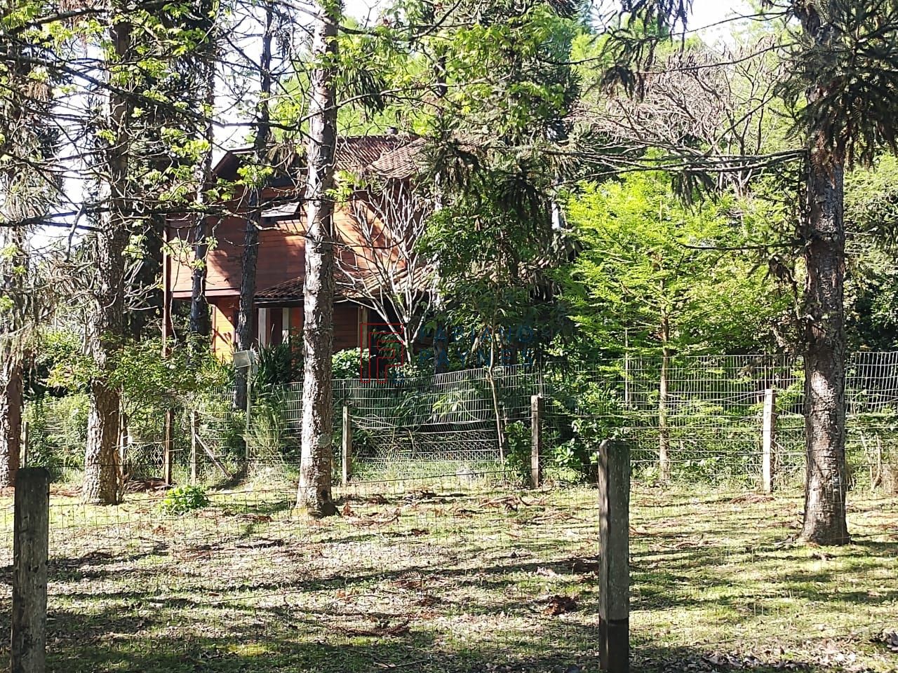 Chácara, 3 quartos, 4 hectares - Foto 35