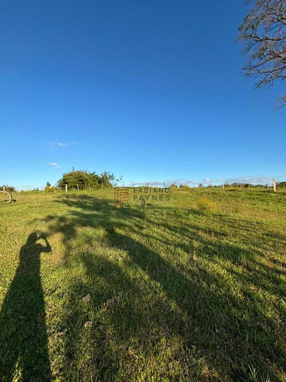 Chácara, 3 quartos, 2 hectares - Foto 20