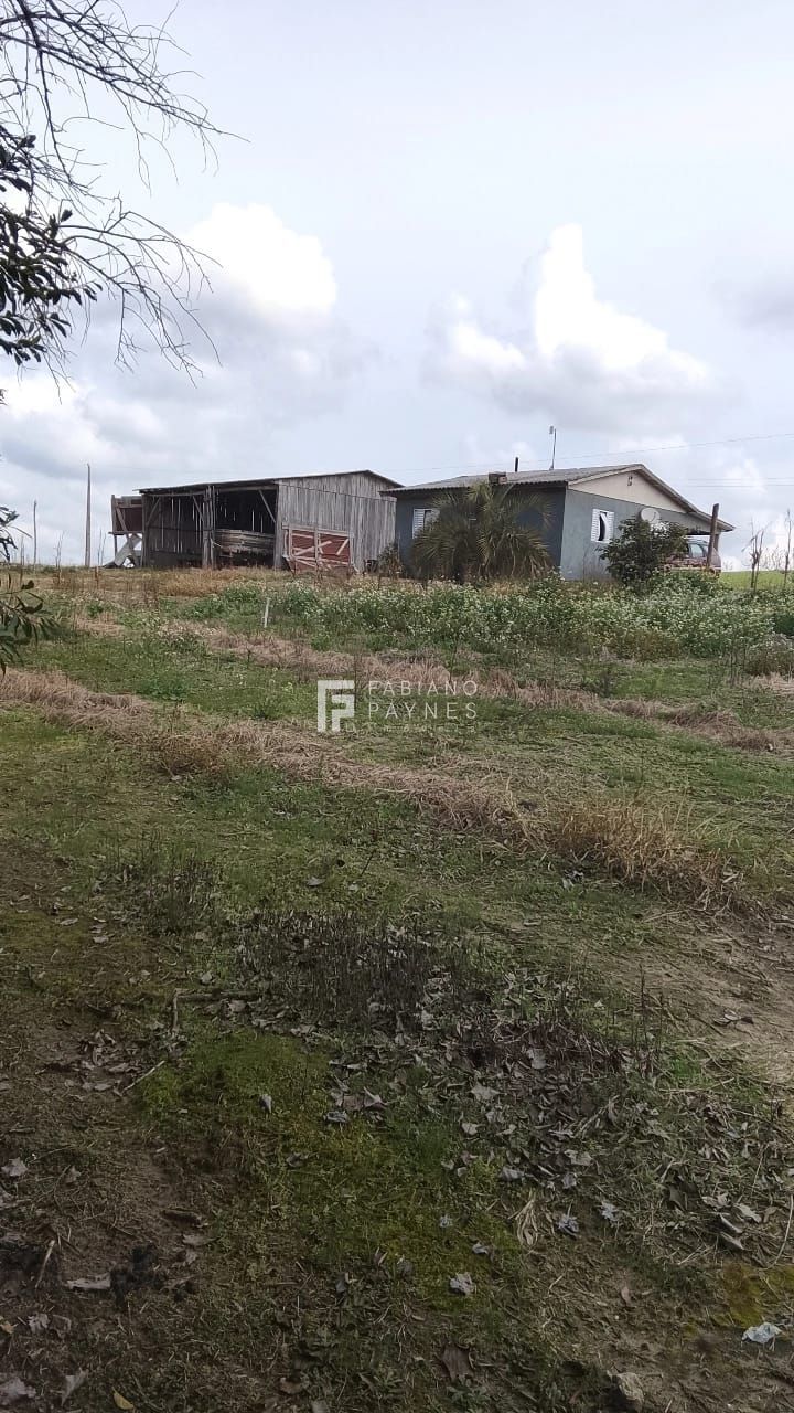 Fazenda, 20 hectares - Foto 9