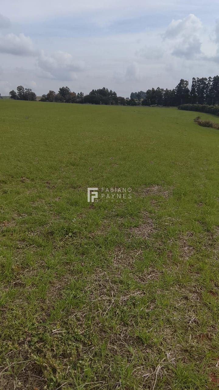 Fazenda, 20 hectares - Foto 11