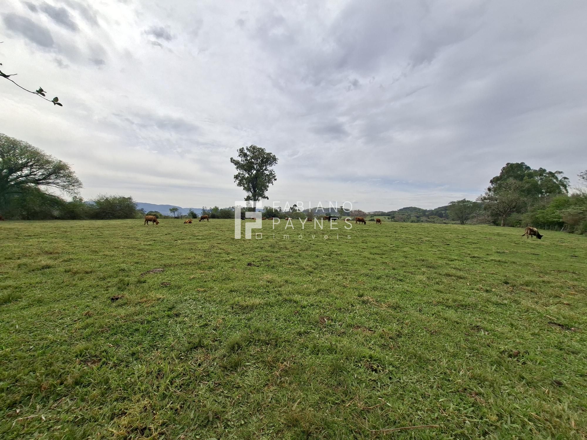 Chácara, 9000 m² - Foto 7