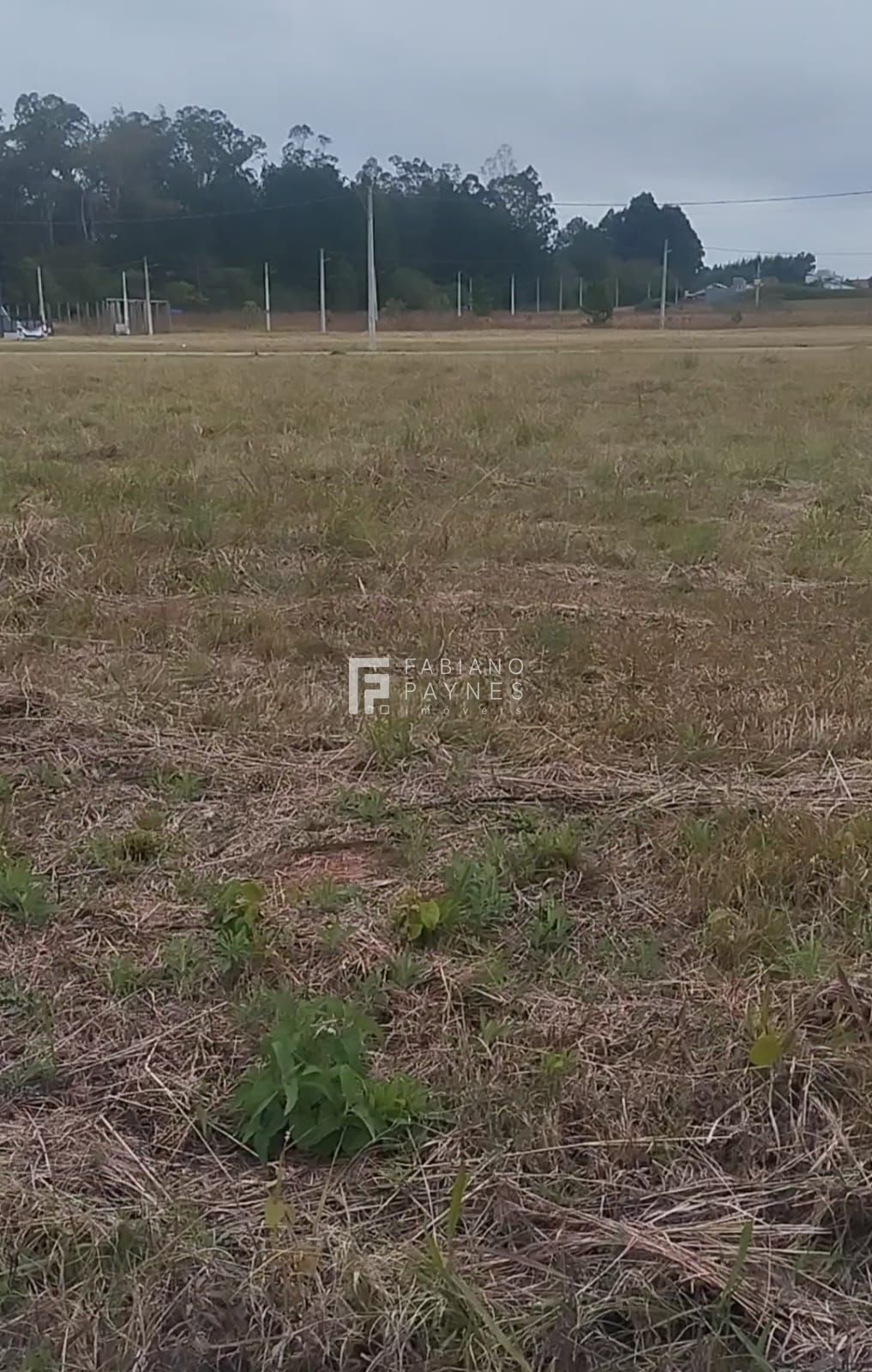 Terreno, 351 m² - Foto 1