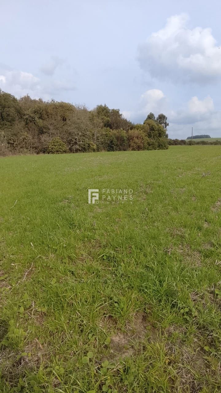 Fazenda, 20 hectares - Foto 3