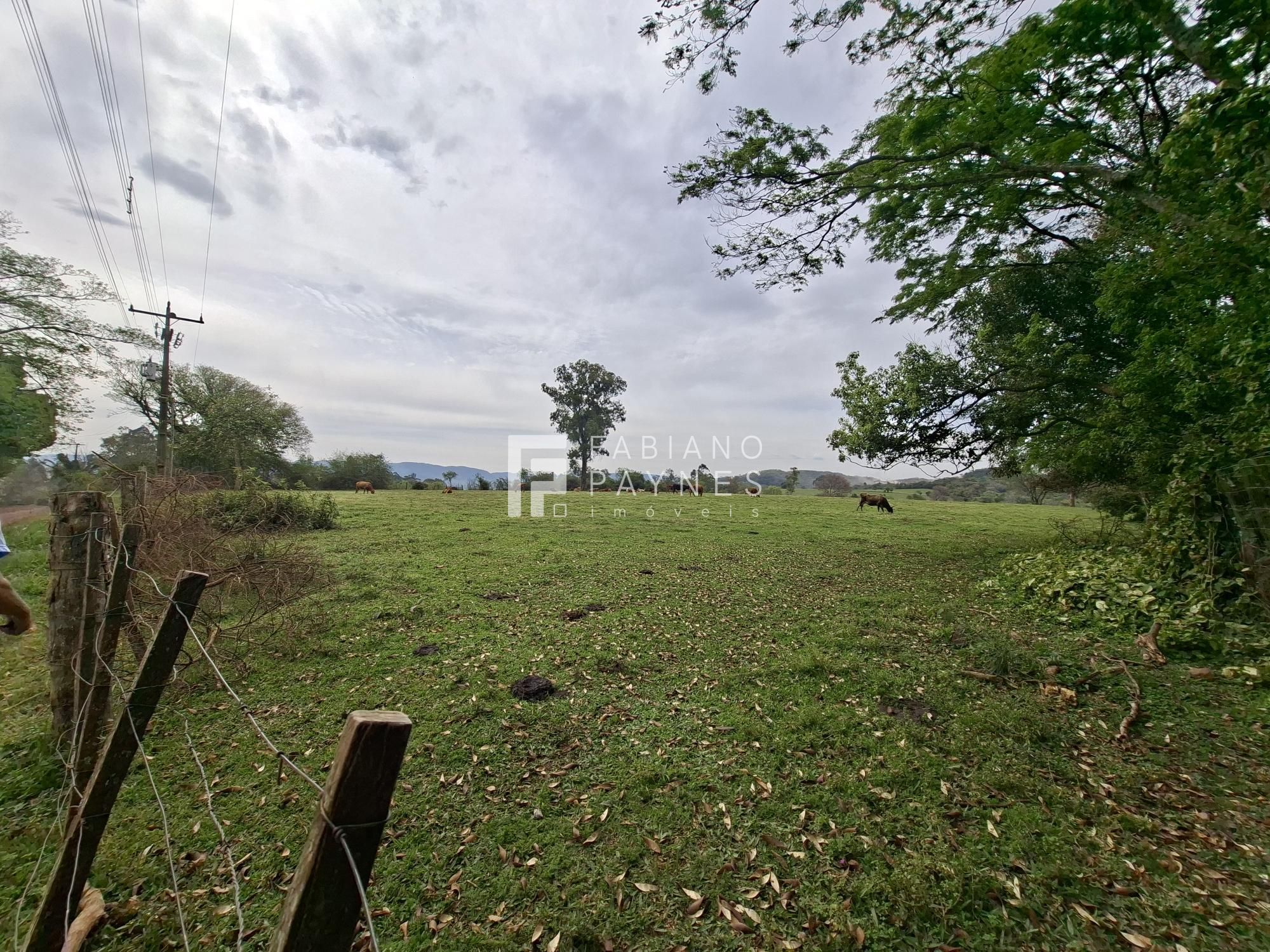 Chácara, 9000 m² - Foto 5