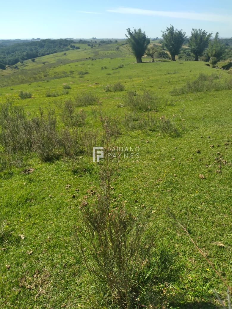 Chácara, 15 hectares - Foto 2