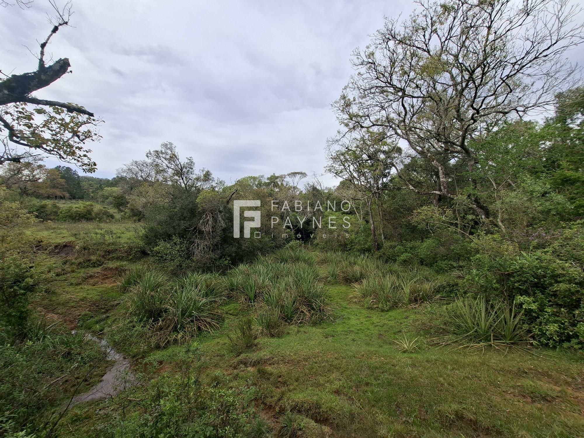 Chácara, 9000 m² - Foto 10