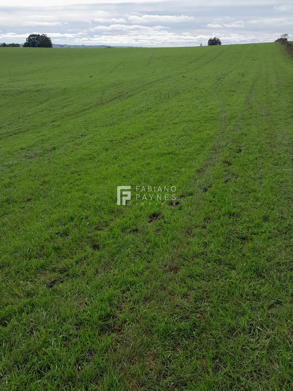 Sítio, 15 hectares - Foto 1