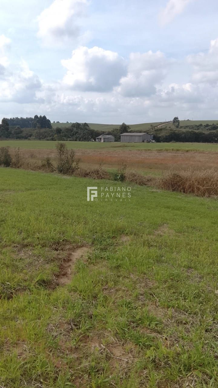 Fazenda, 20 hectares - Foto 4