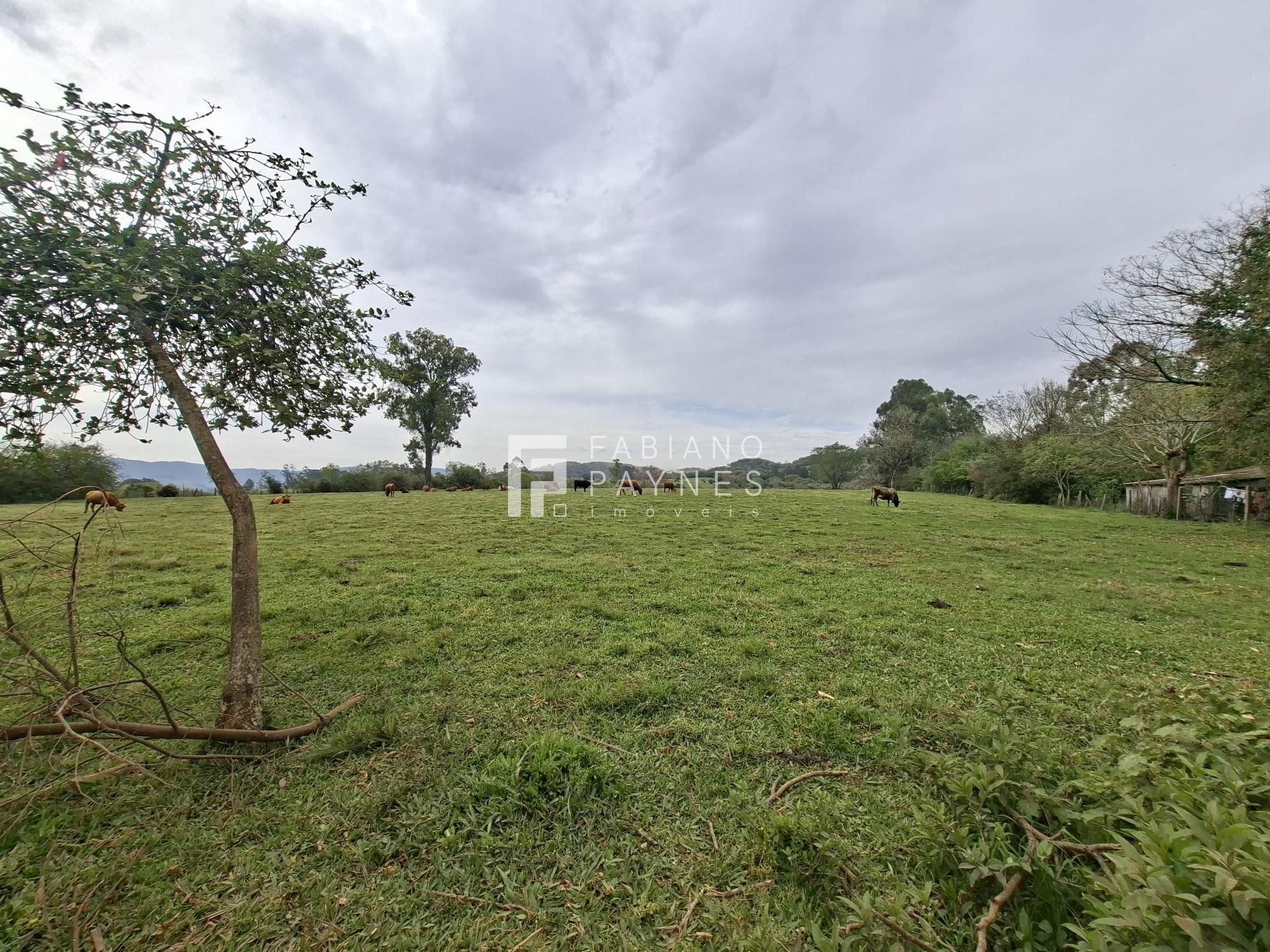 Chácara, 9000 m² - Foto 4