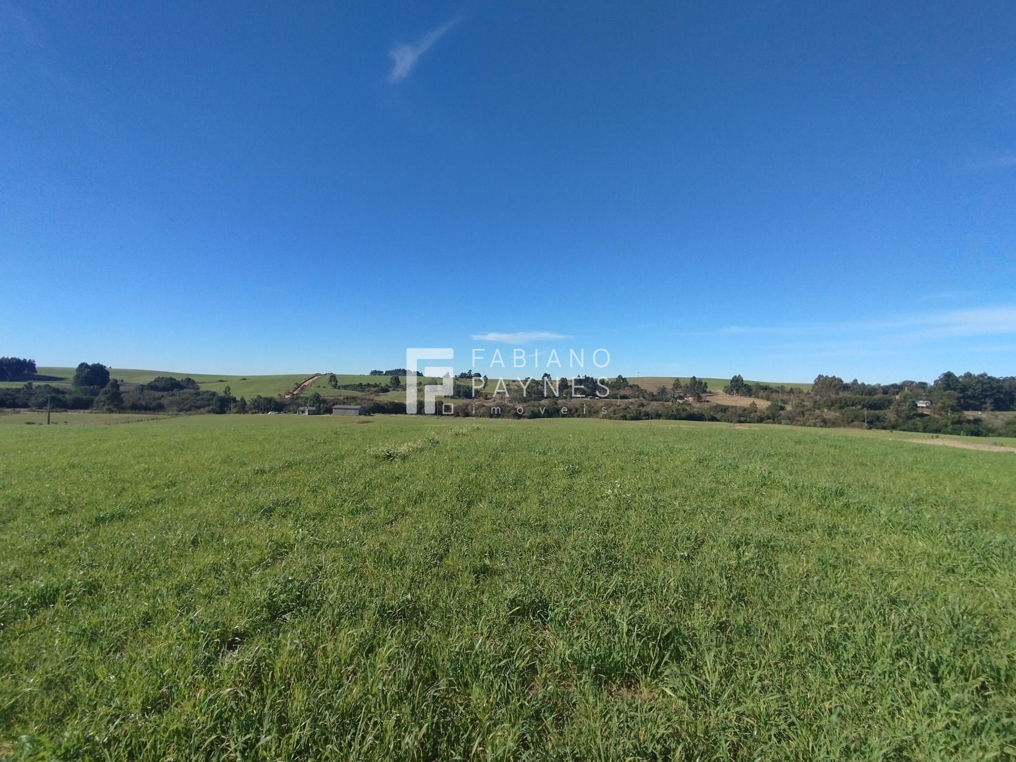 Fazenda, 20 hectares - Foto 1