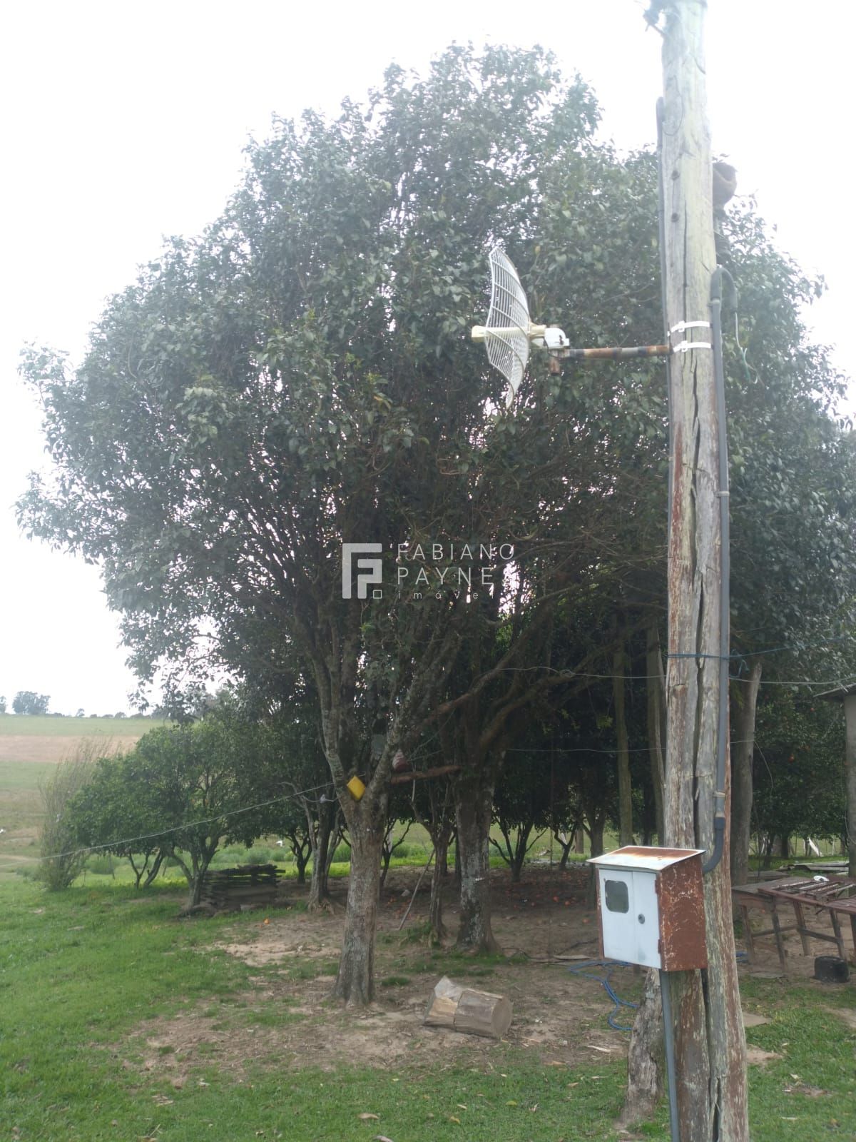 Chácara, 16 hectares - Foto 10