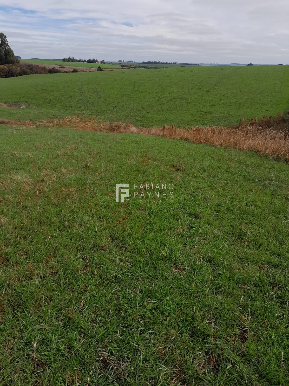 Sítio, 15 hectares - Foto 3