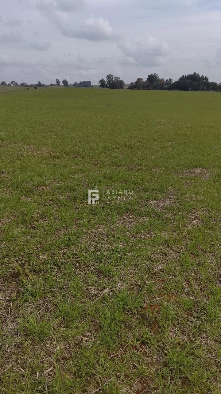 Fazenda, 20 hectares - Foto 10