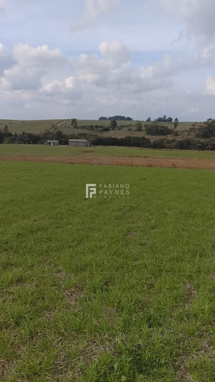 Fazenda, 20 hectares - Foto 5