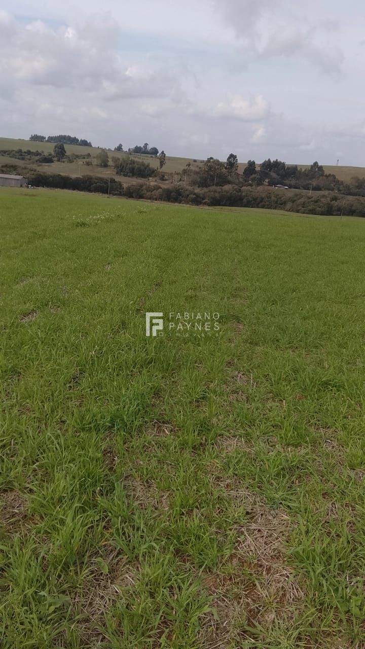 Fazenda, 20 hectares - Foto 7