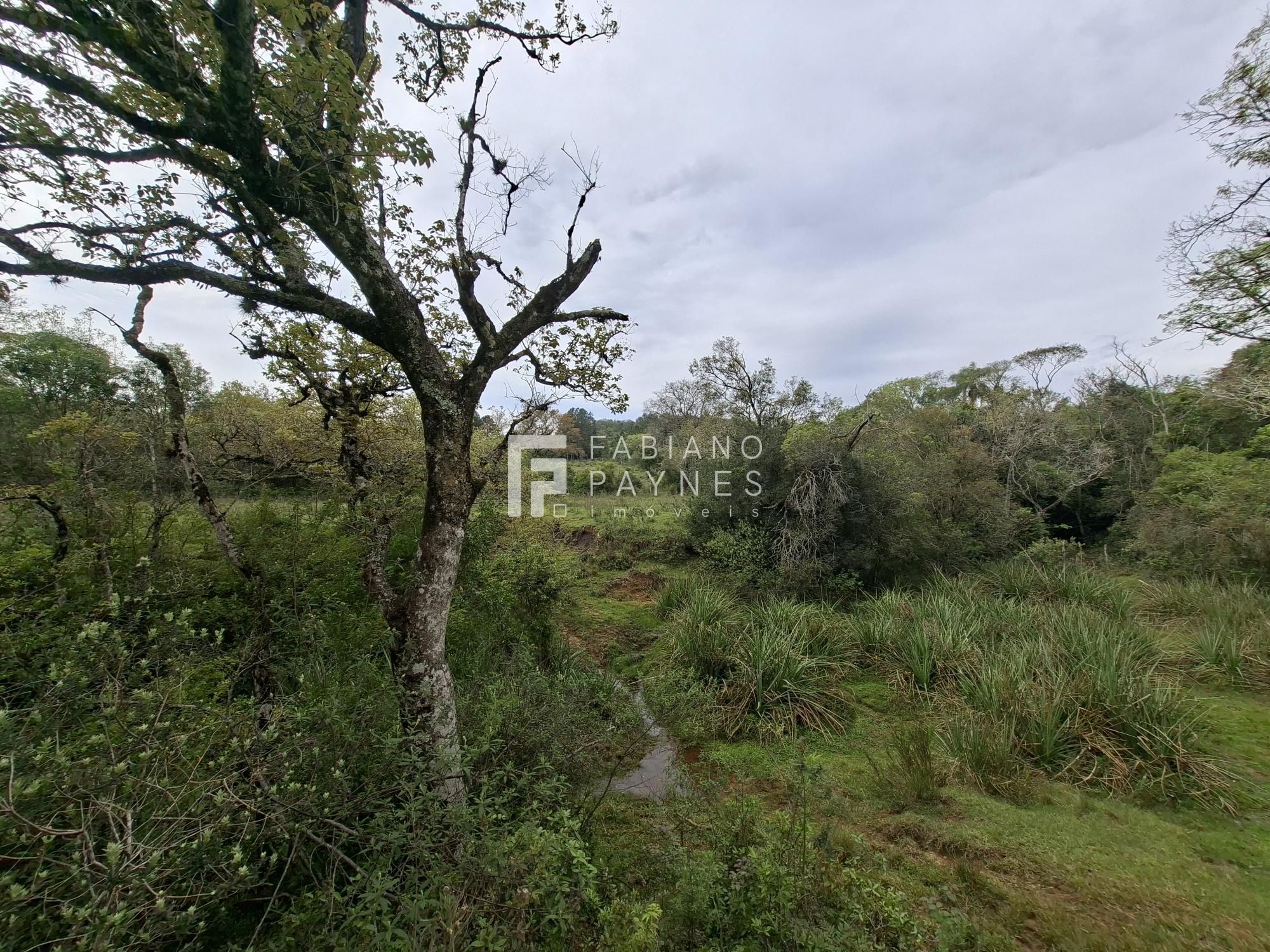 Chácara, 9000 m² - Foto 9