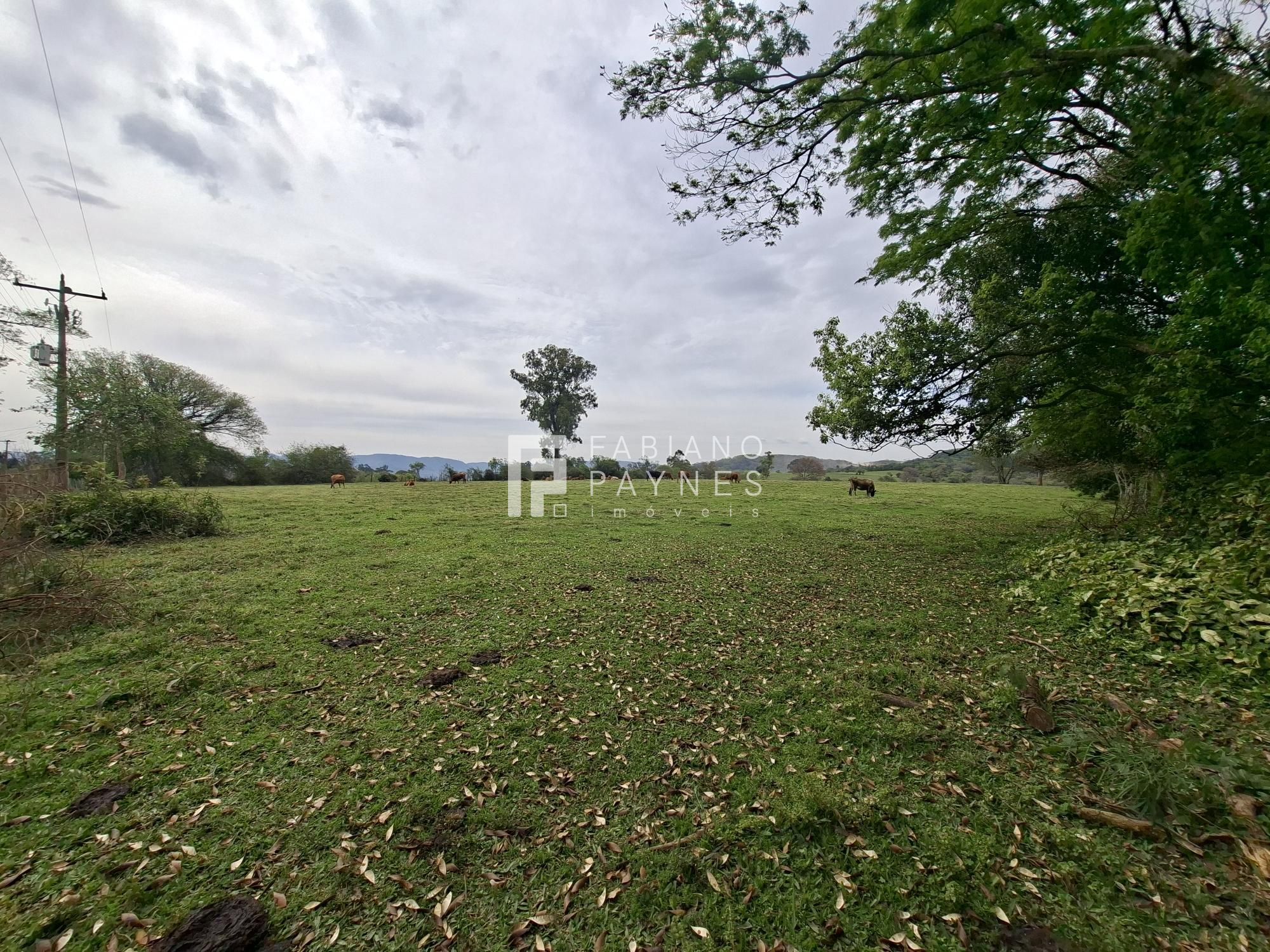 Chácara, 9000 m² - Foto 6