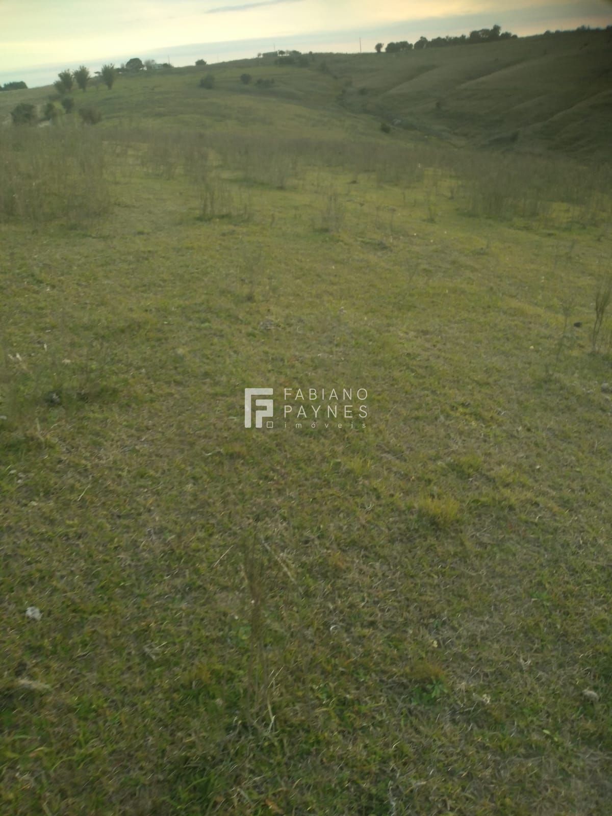 Chácara, 15 hectares - Foto 1