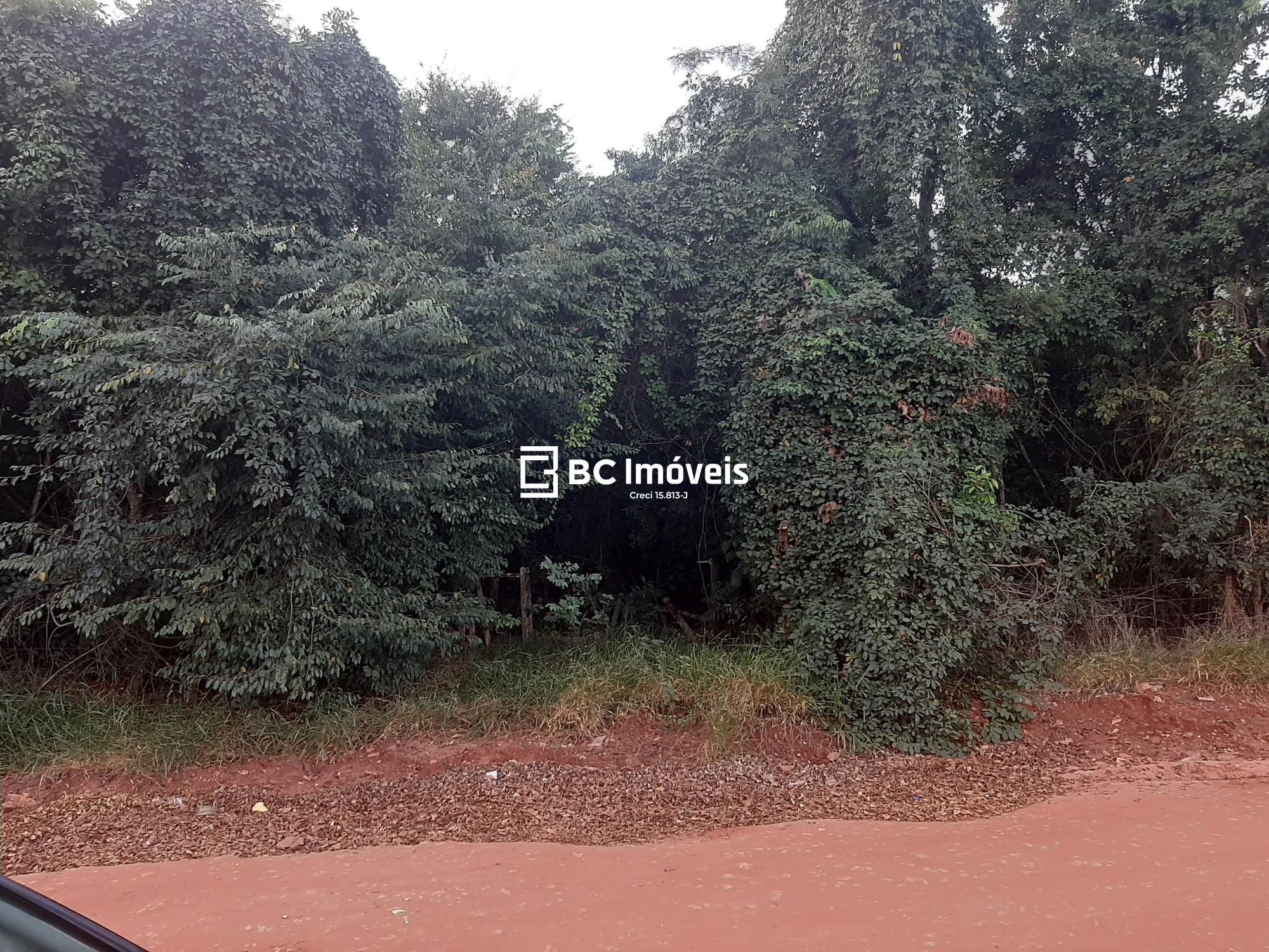 Terreno, 5000 m² - Foto 6