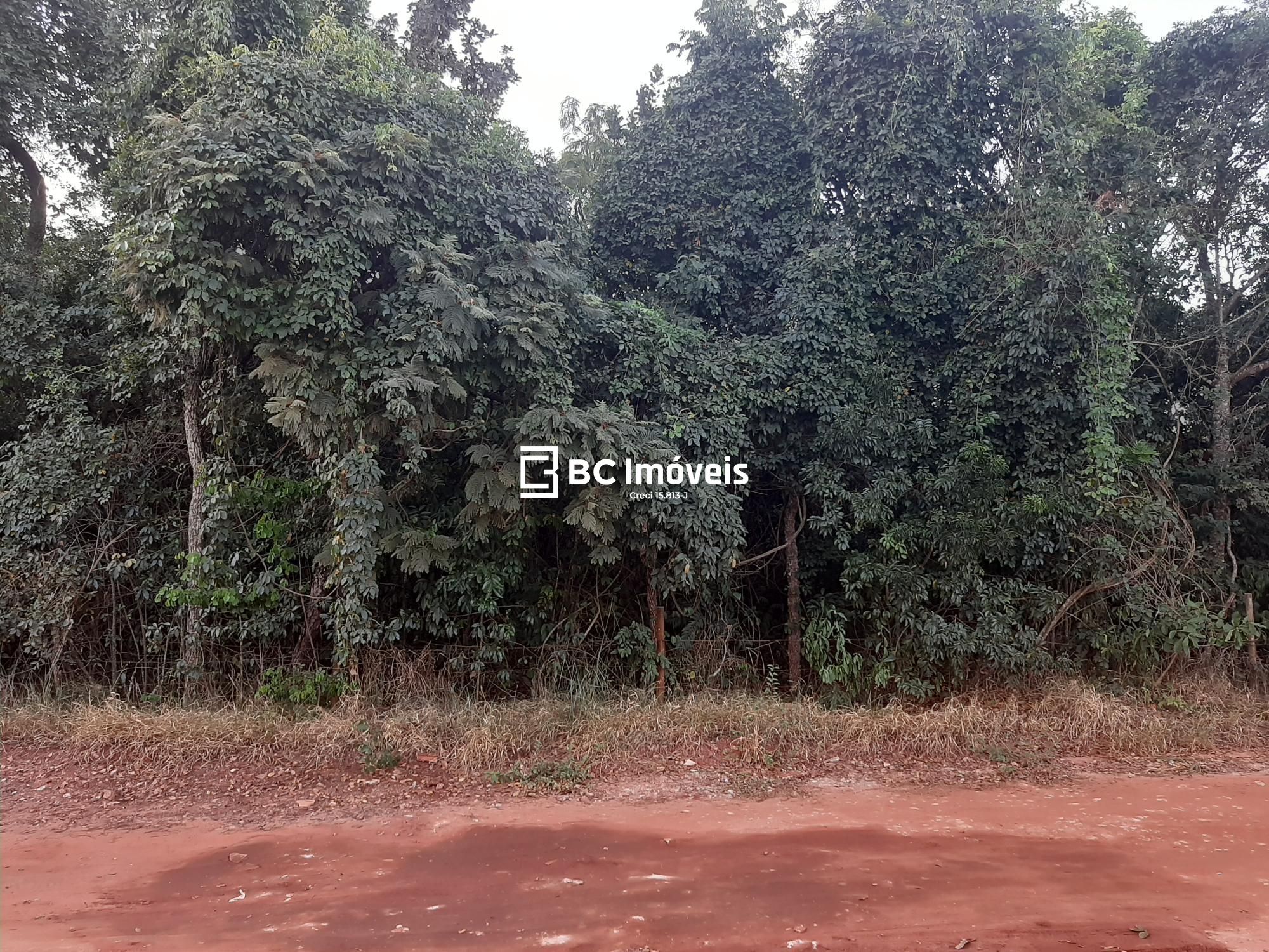 Terreno, 5000 m² - Foto 5