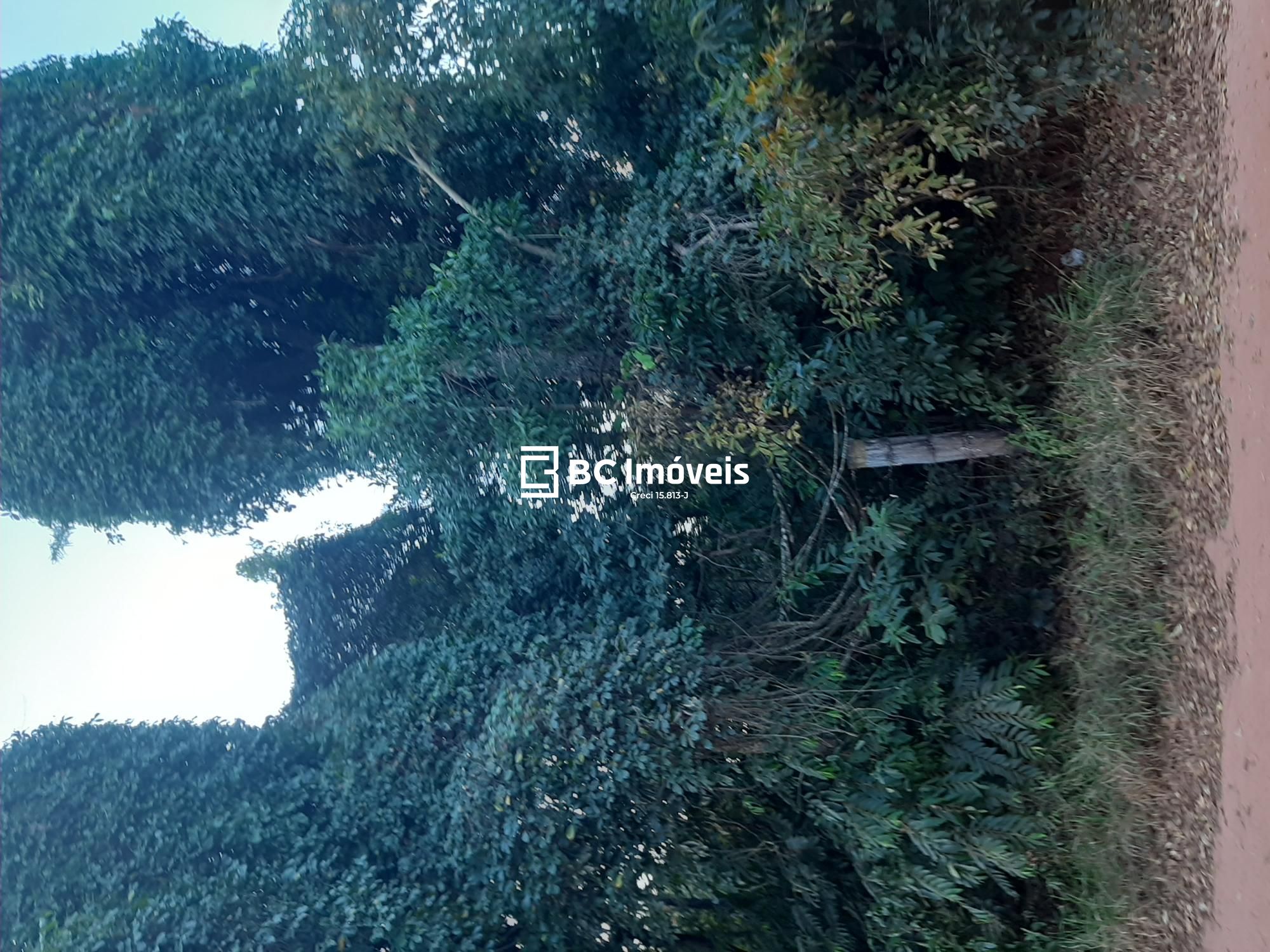 Terreno, 5000 m² - Foto 2