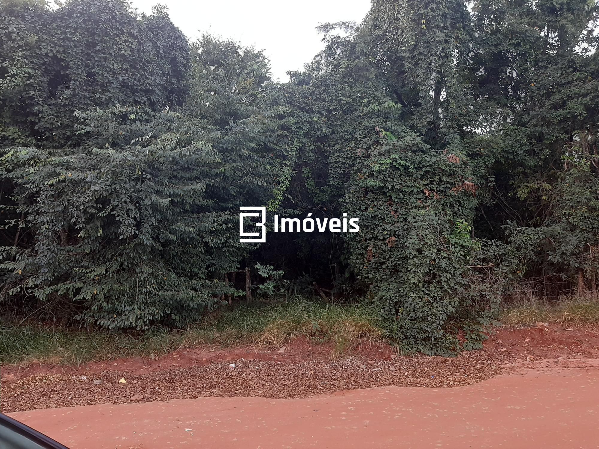 Terreno à venda, 5000m² - Foto 6