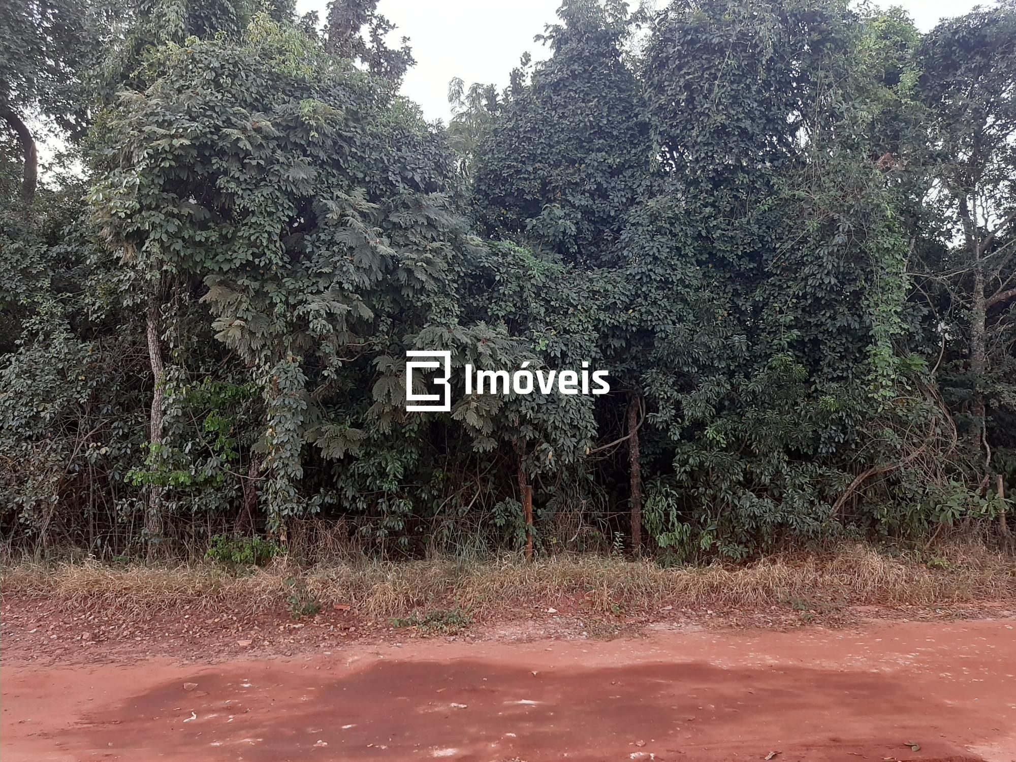 Terreno à venda, 5000m² - Foto 5