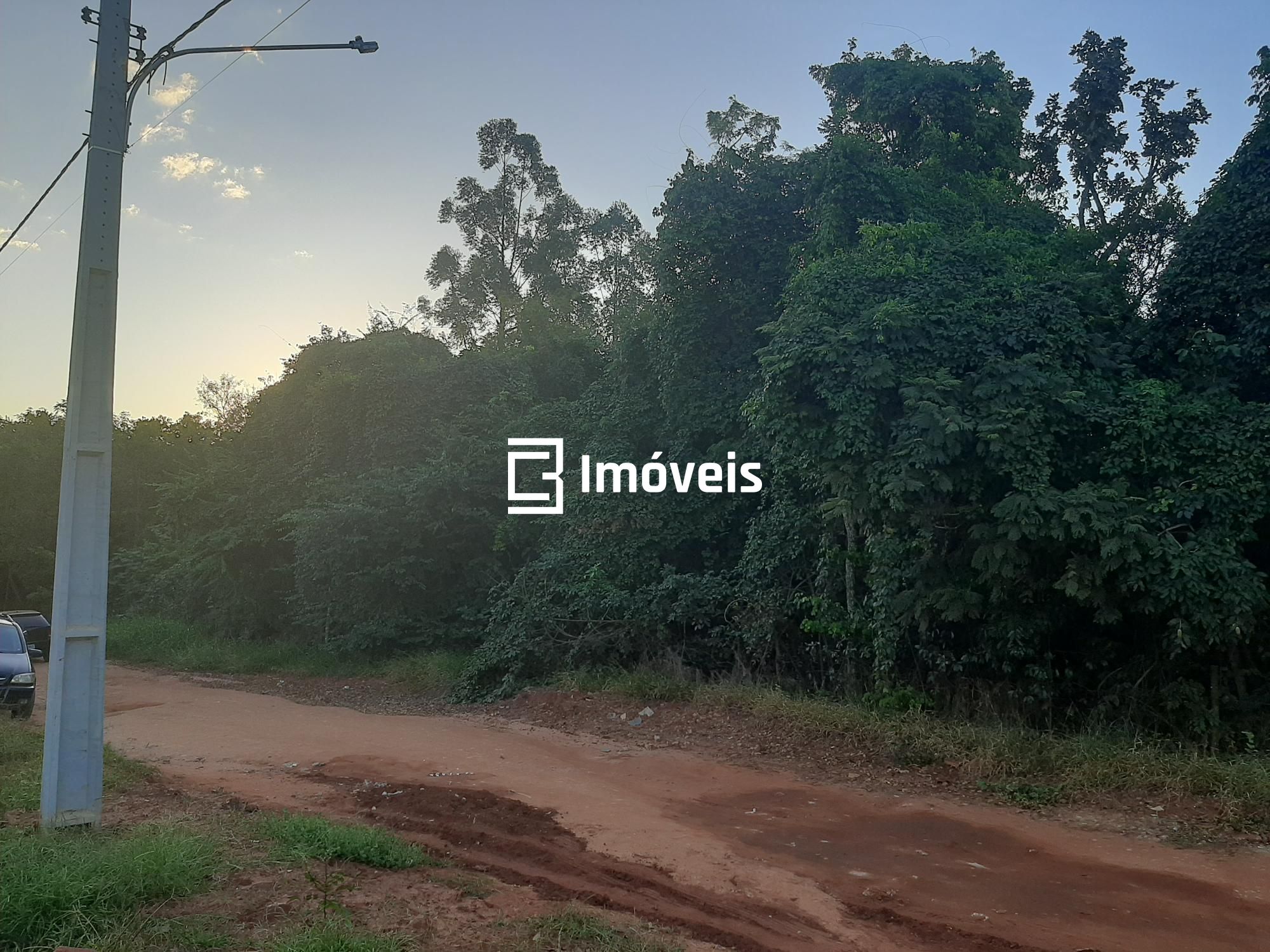 Terreno à venda, 5000m² - Foto 3