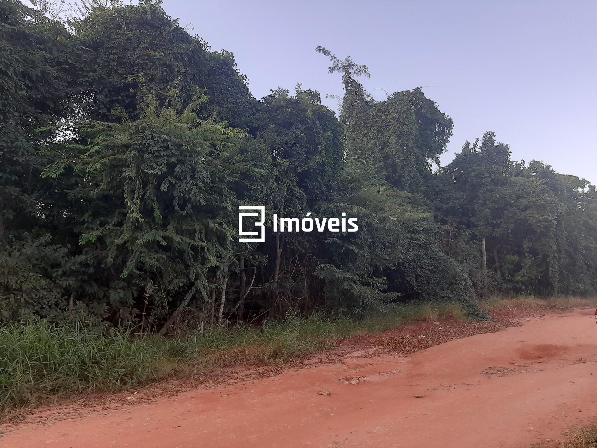 Terreno à venda, 5000m² - Foto 7