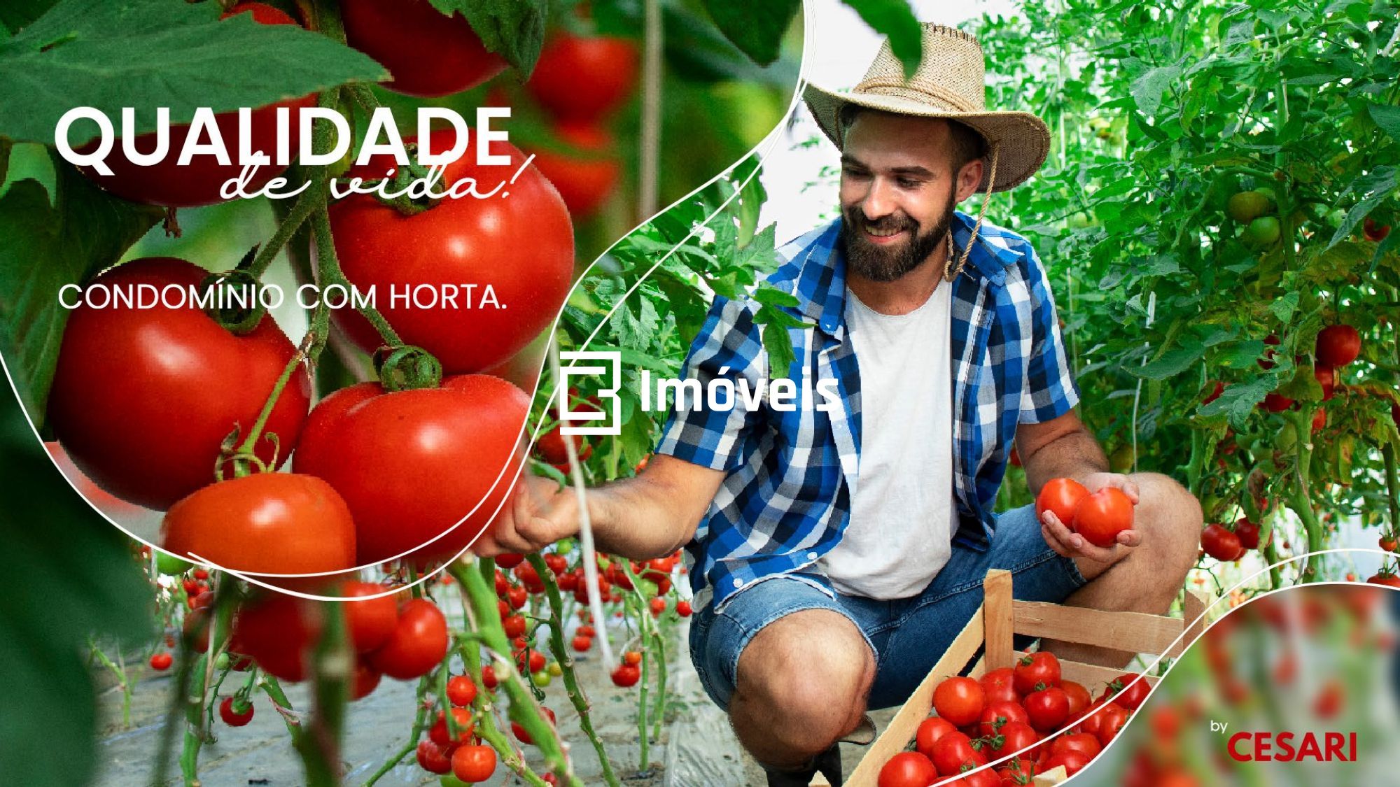 Apartamento à venda com 2 quartos, 65m² - Foto 12