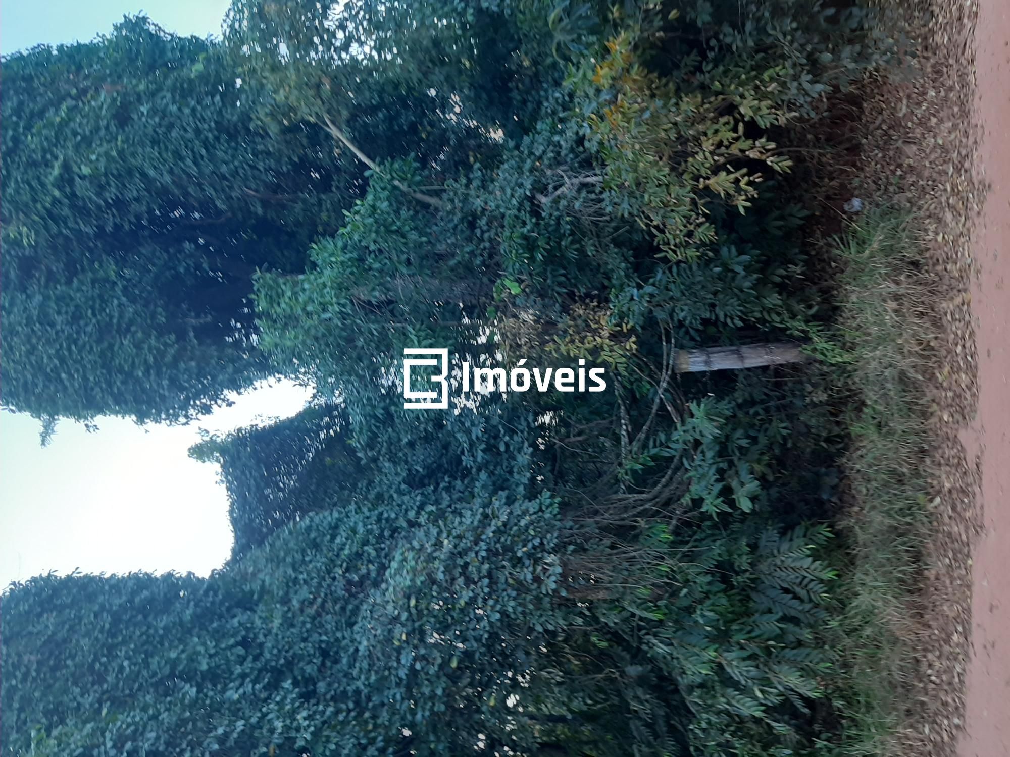 Terreno à venda, 5000m² - Foto 2