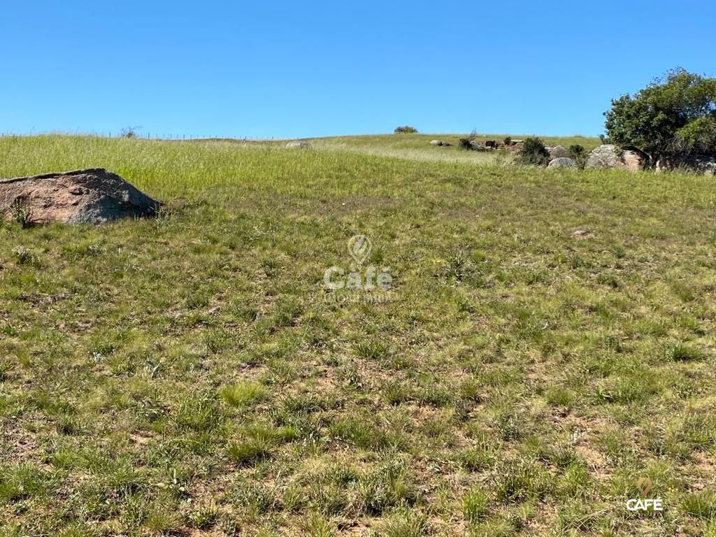 Loteamento e Condomínio, 42 hectares - Foto 3