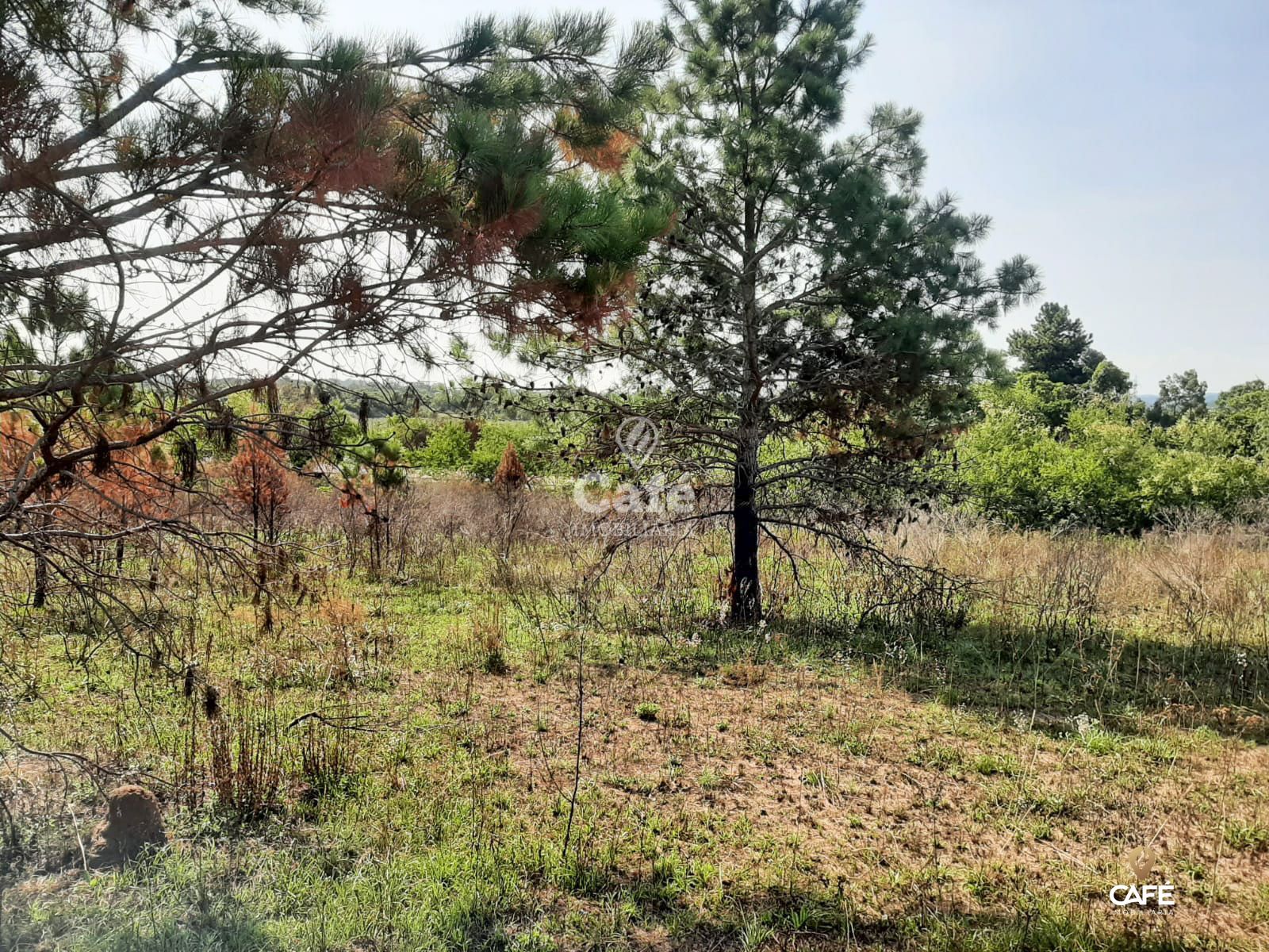 Terreno, 2000 m² - Foto 2