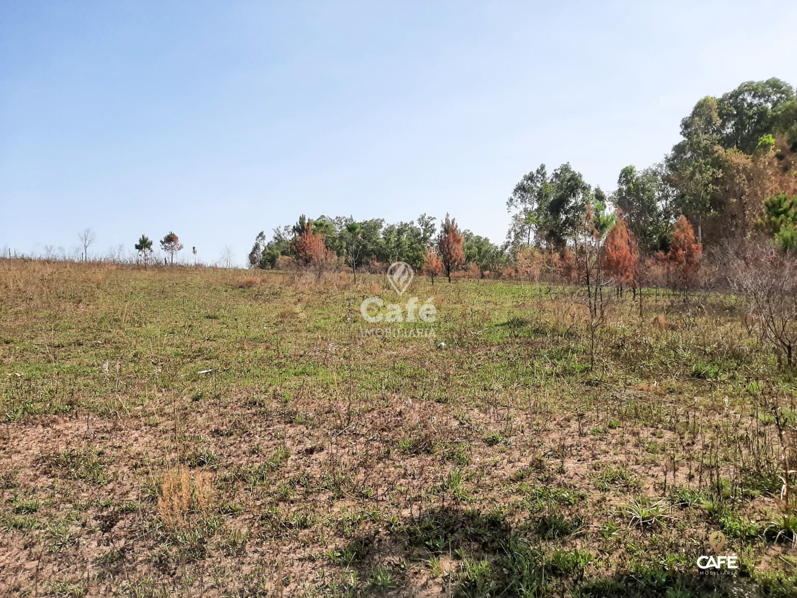 Terreno à venda, 2000m² - Foto 3