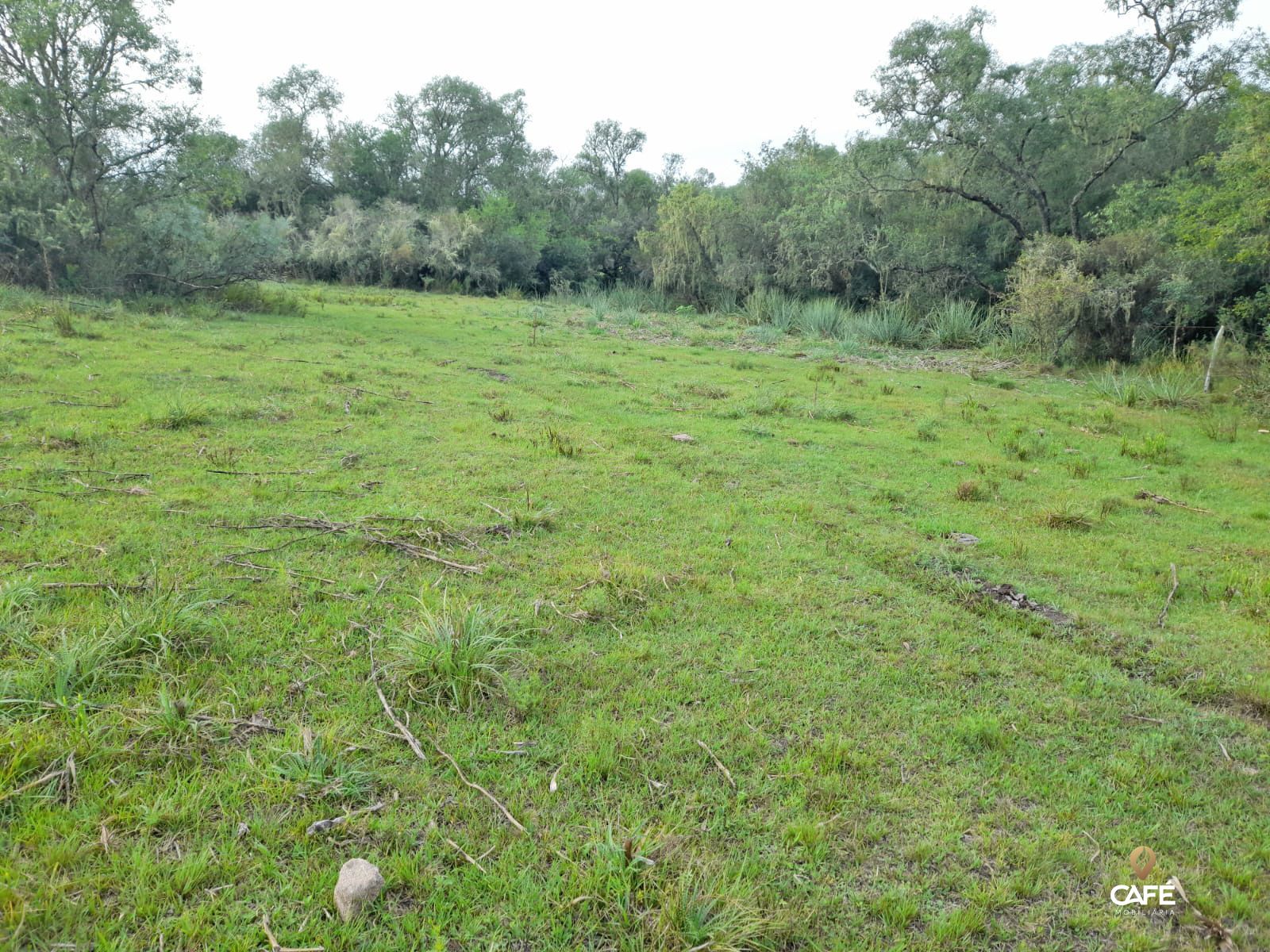 Fazenda à venda com 2 quartos, 100m² - Foto 5