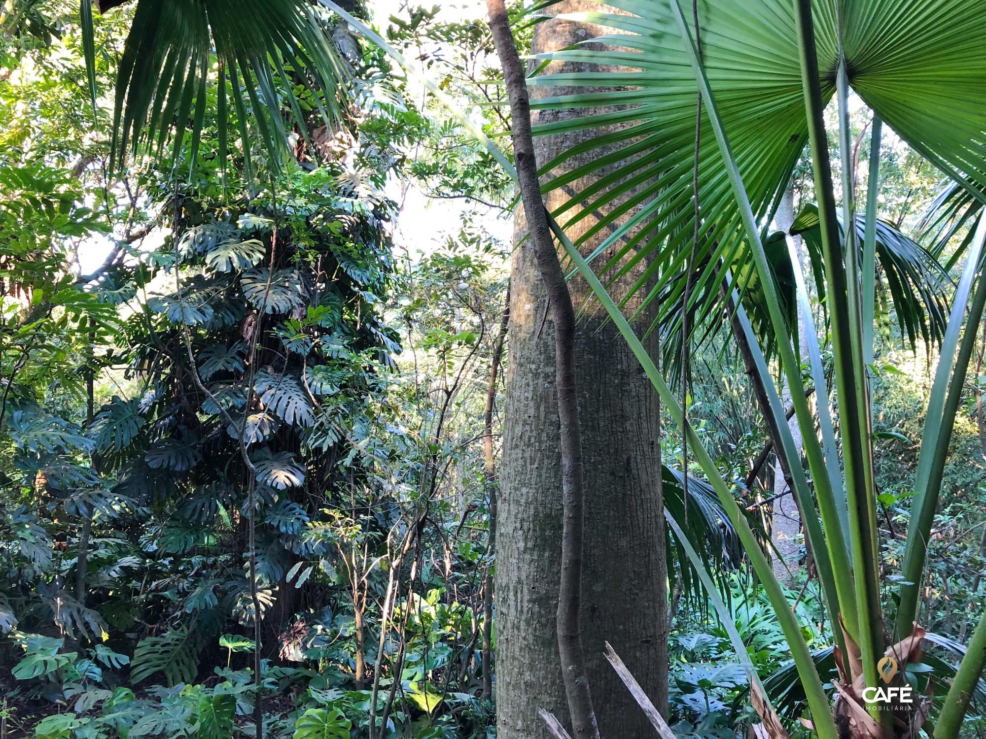 Apartamento, 3 quartos, 258 m² - Foto 8