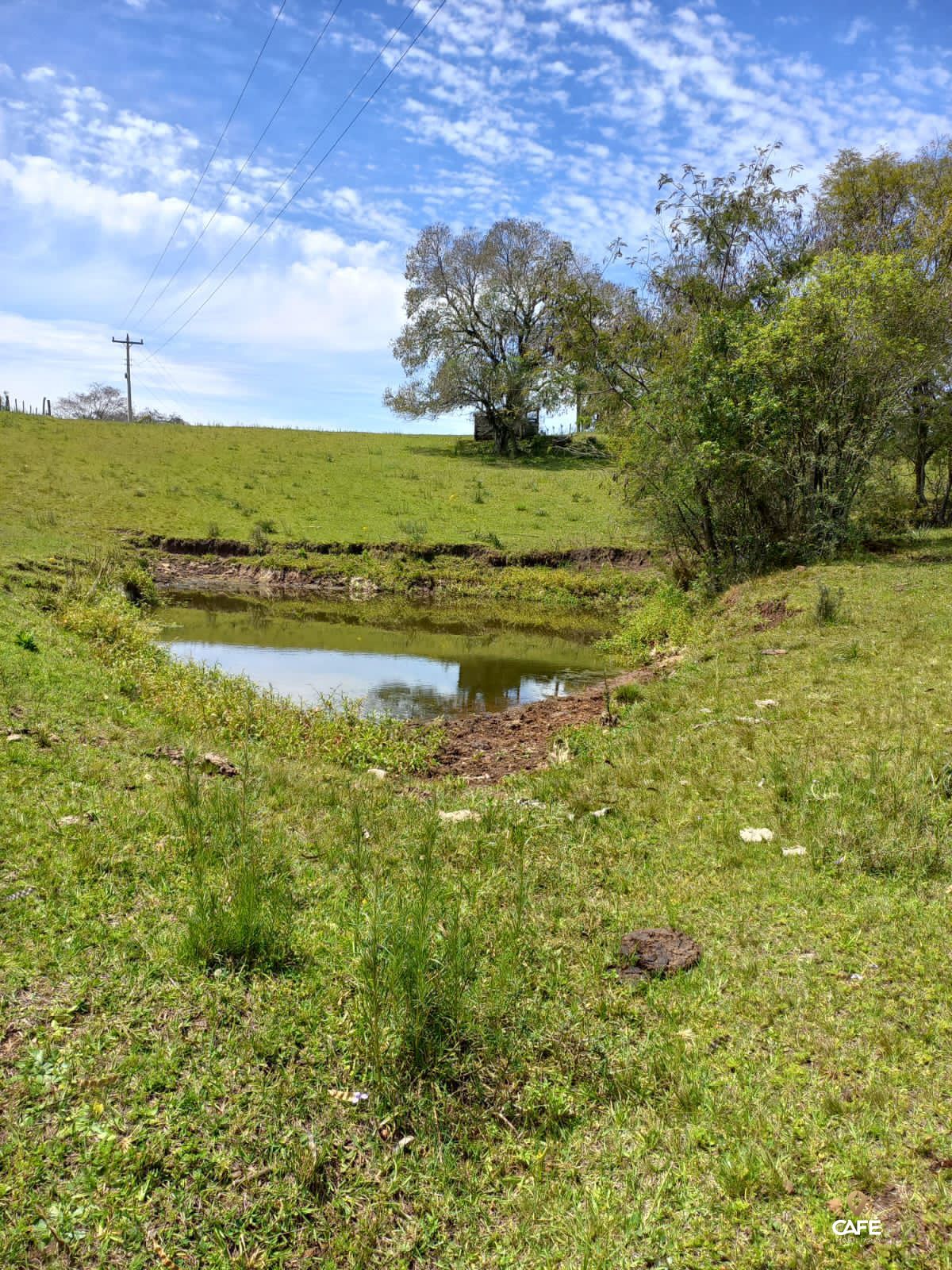 Fazenda à venda com 2 quartos, 78m² - Foto 9