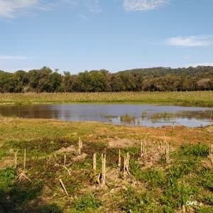 Fazenda à venda, 350000000m² - Foto 3