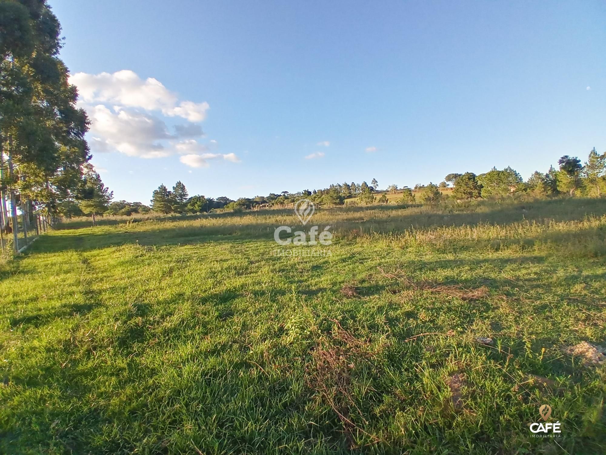 Fazenda à venda com 2 quartos, 350000000m² - Foto 7