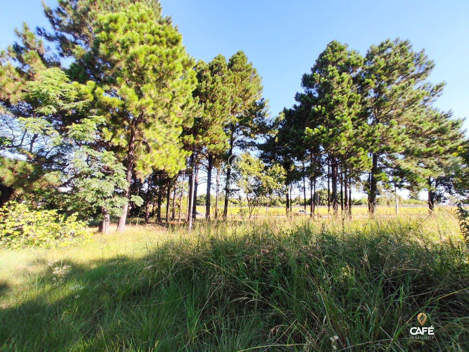 Terreno à venda, 37m² - Foto 10