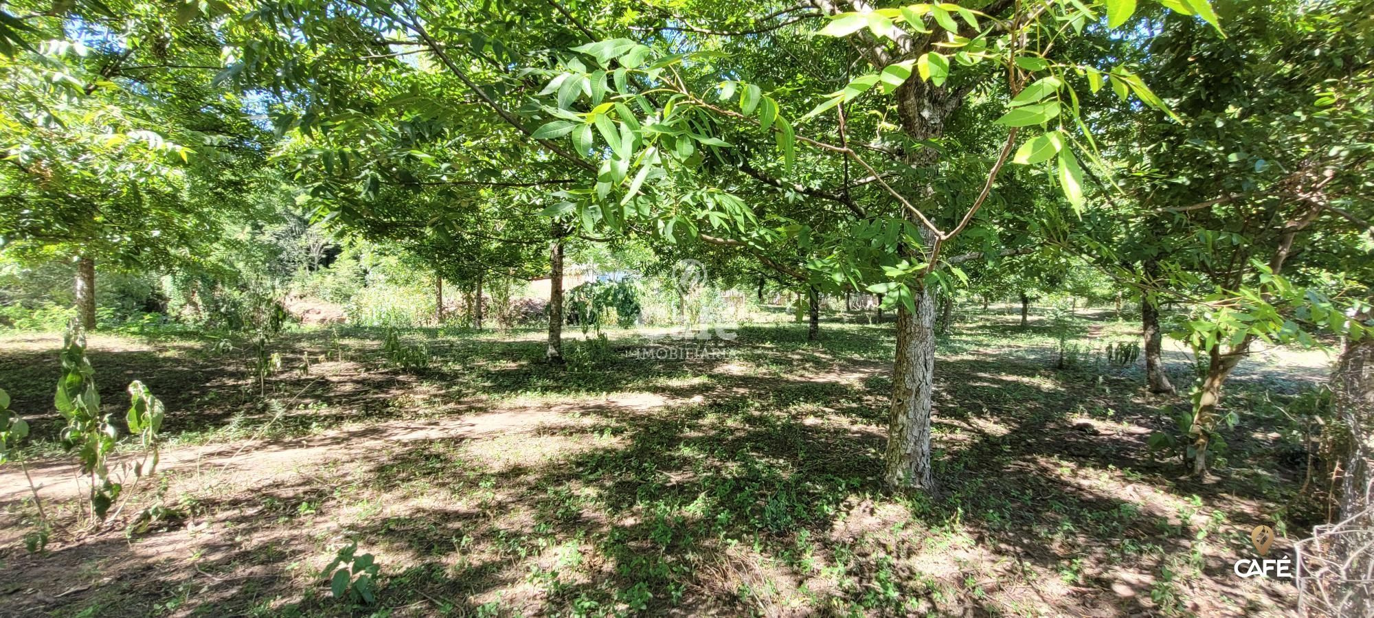 Terreno, 3758 m² - Foto 5