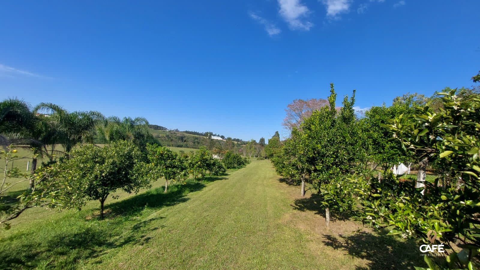 Fazenda à venda com 3 quartos, 190m² - Foto 30