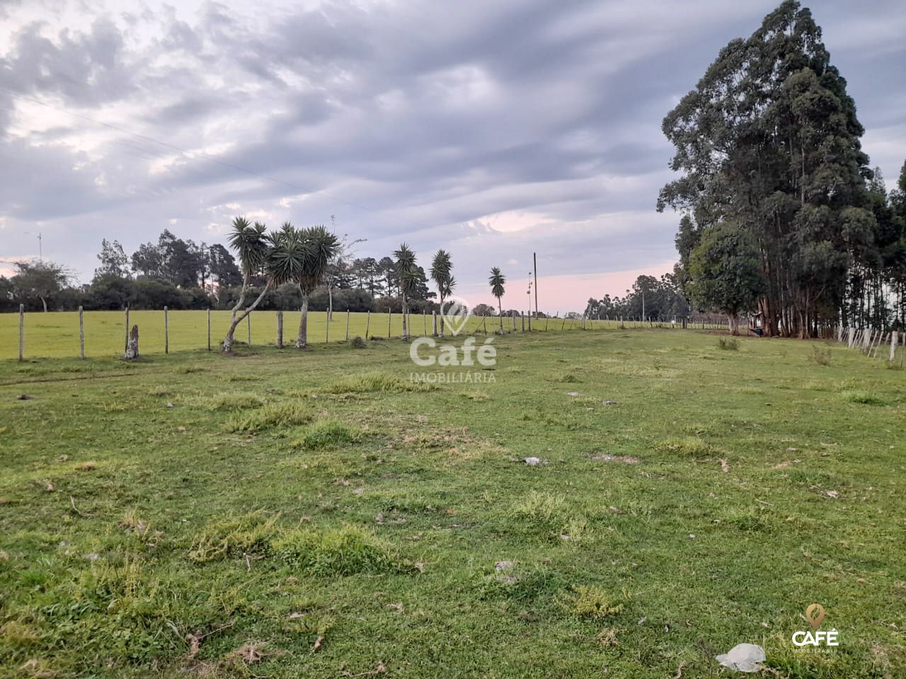 Fazenda-Sítio-Chácara, 6 hectares - Foto 1