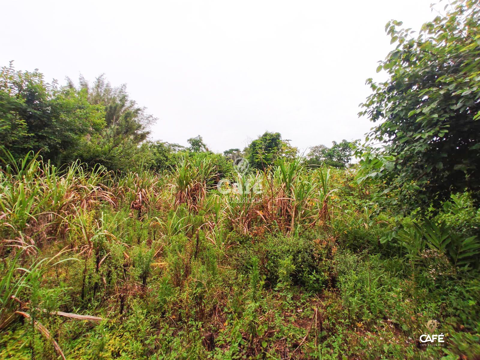 Terreno, 2534 m² - Foto 6